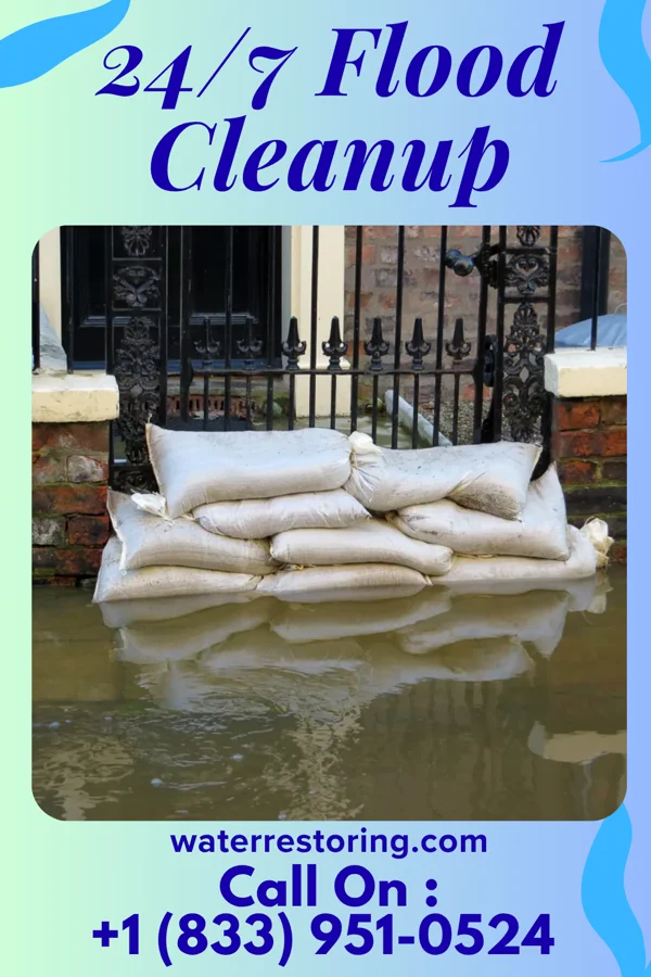 24/7 Flood Cleanup in Sunray, TX