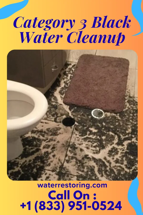 Category 3 Black Water Cleanup in Sunray, TX
