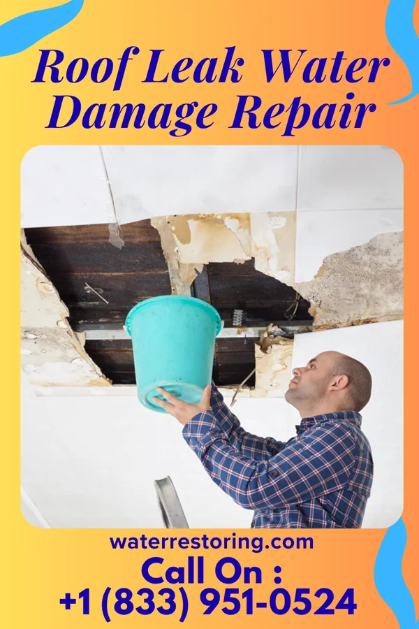 Roof Leak Water Damage Repair in Sunray, TX