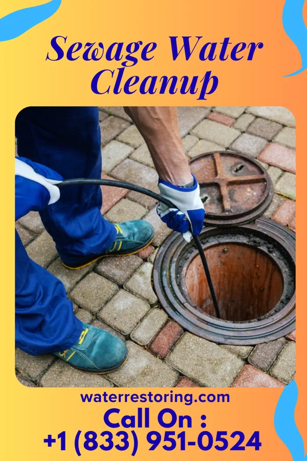 Sewage Water Cleanup in Sunray, TX